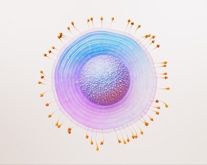疫苗 细胞图 
