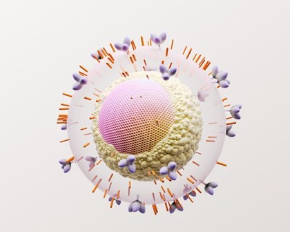 HIV 细胞图