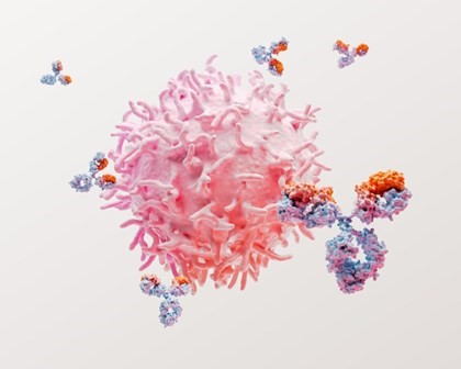 免疫学 细胞图