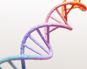 Company Dna 3D Image 02