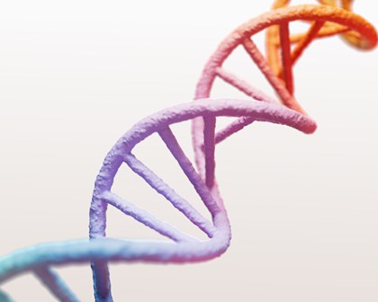 使命引领 我们前行 DNA