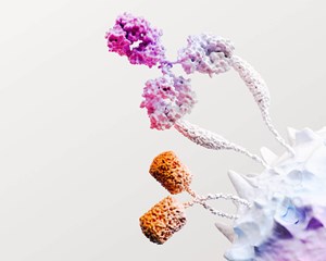 Immuno Oncology Science Image (1)